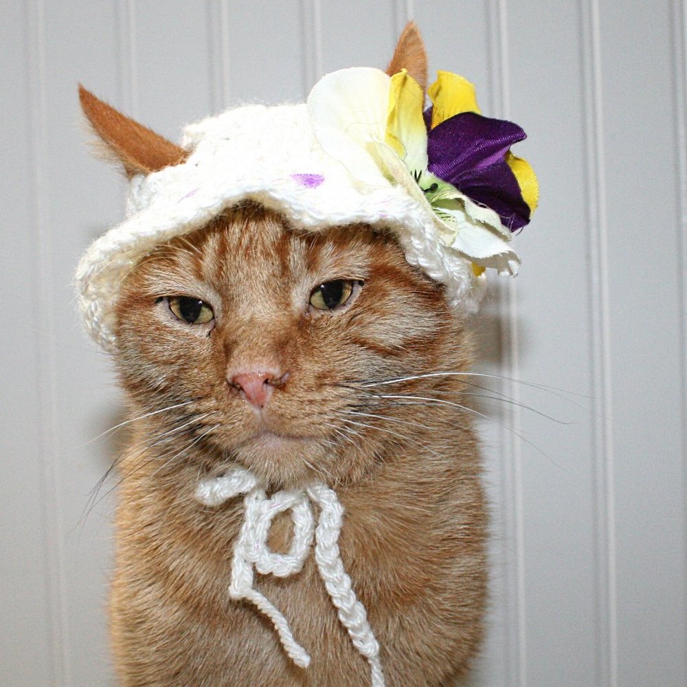 HAND CRAFTED Crochet White Pansy Bonnet Cat Hat Costume Photo Prop